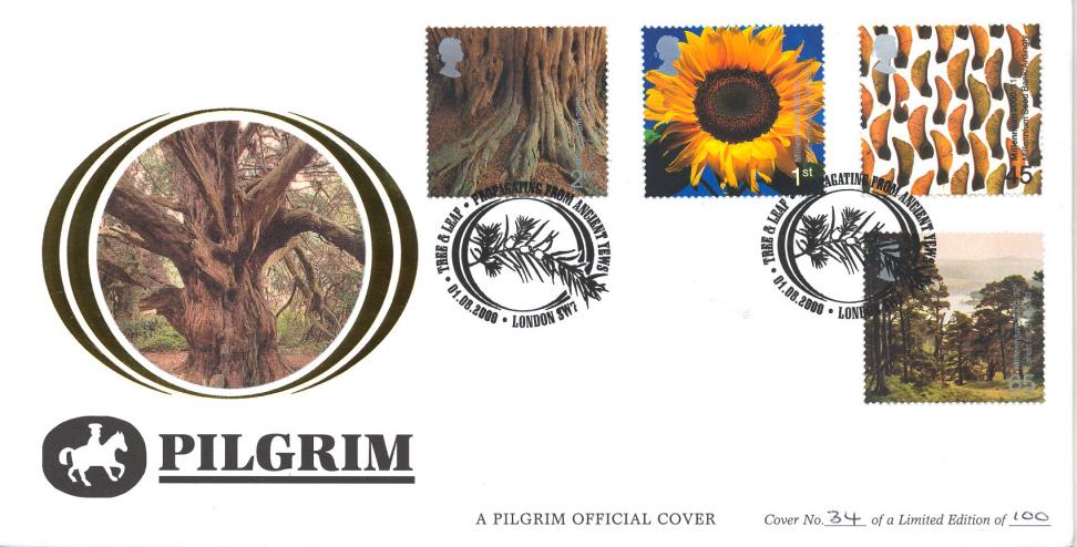 2000 (08) Tree & Leaf - Benham Pilgrim Official