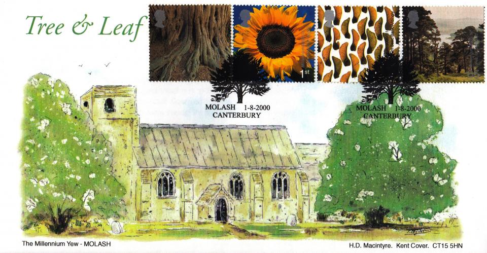 2000 (08) Tree & Leaf - Macintyre Official