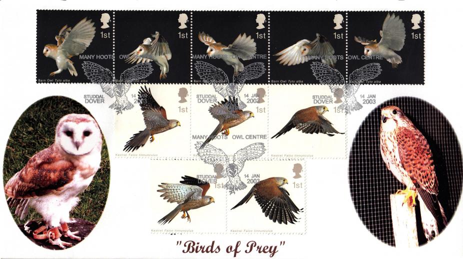 2003 (01) Birds of Prey - Macintyre Official