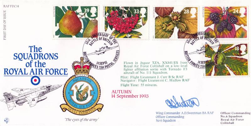 1993 (09) Autumn - Forces RAF FDC14 'Battle of Britain 53rd Anniversary' Official