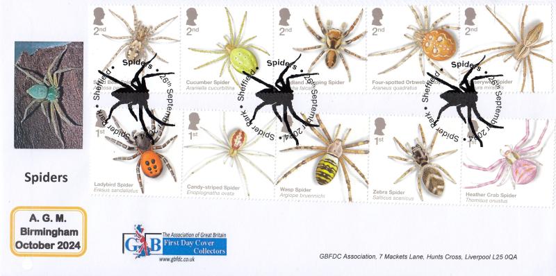 2024 (09) Spiders - GBFDC AGM Official