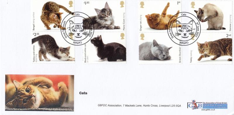 2022 (06) Cats - GBFDC 'Great Yarmouth' Official