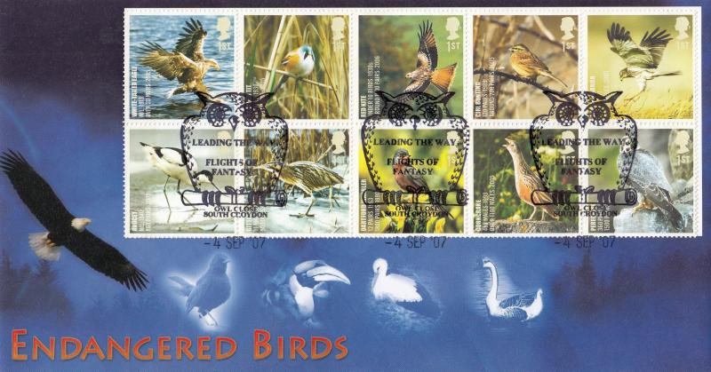 2007 (09) Birds - Steven Scott 'Owl Close' Official
