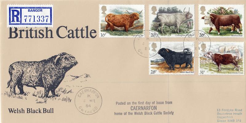 1984 (03) Cattle - Welsh Black Bull Cover - Caernarfon CDS