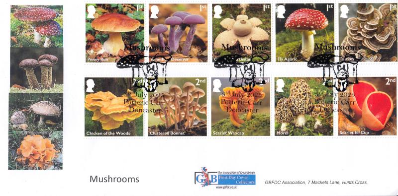 2025 (07) Mushrooms - GBFDC (Alternative) Official